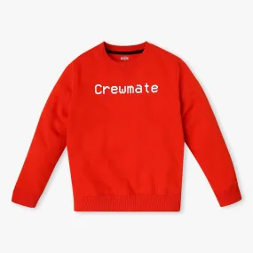 Boy's Regular Fit Printed Sweat Tees