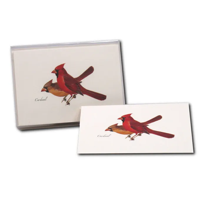 Cardinal Boxed Notecards